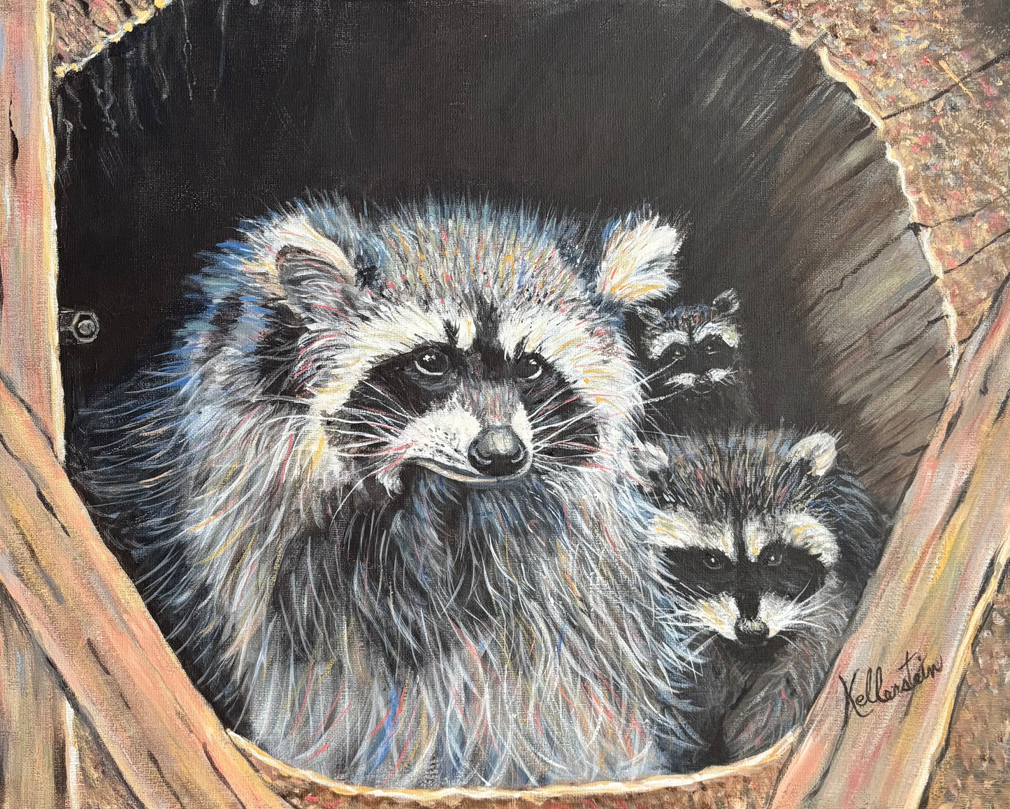 Dans le creux du nid