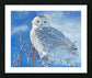 2495701 :: Impression encadrée