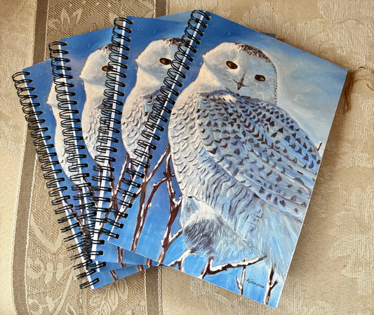 Carnets de notes «Messager du froid»