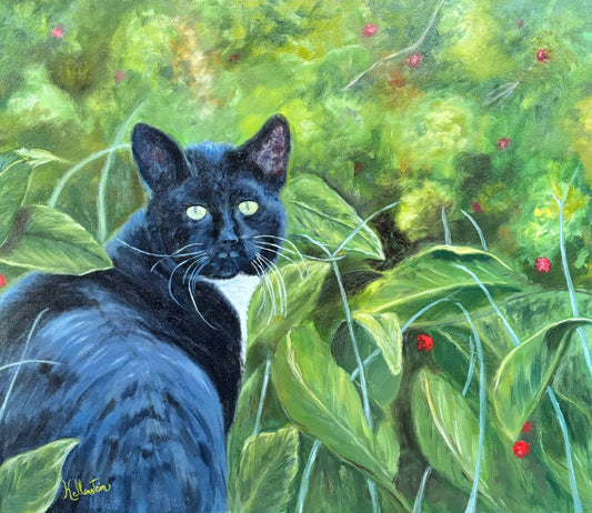 Chat errant dans mes framboisiers