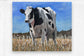 2030270 :: Impression sur metal brossé