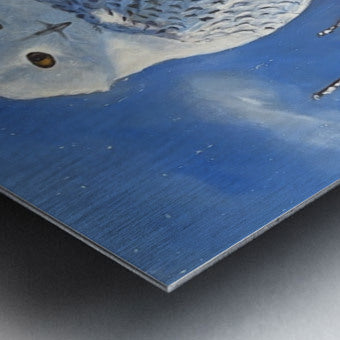 2495701 :: Impression sur metal brossé