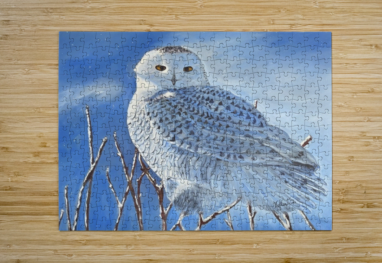 2495701 :: Impression de Puzzle