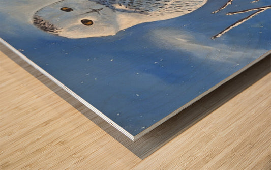 2495701 :: Impression sur bois